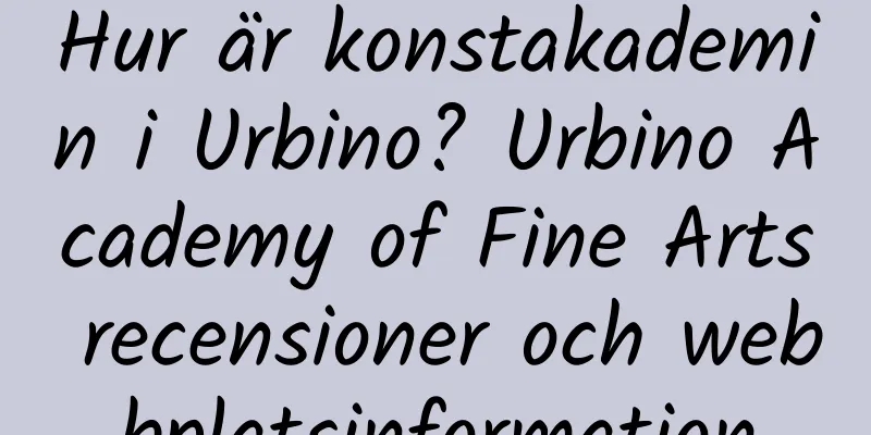 Hur är konstakademin i Urbino? Urbino Academy of Fine Arts recensioner och webbplatsinformation