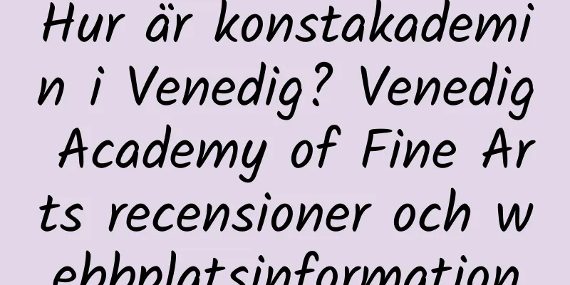 Hur är konstakademin i Venedig? Venedig Academy of Fine Arts recensioner och webbplatsinformation
