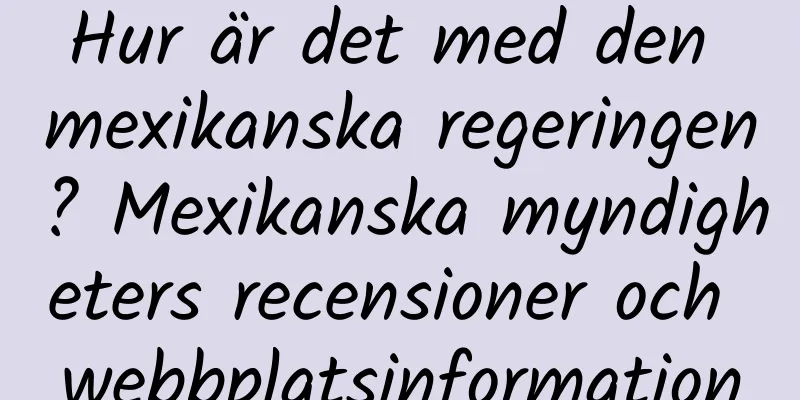 Hur är det med den mexikanska regeringen? Mexikanska myndigheters recensioner och webbplatsinformation