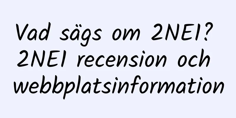 Vad sägs om 2NE1? 2NE1 recension och webbplatsinformation