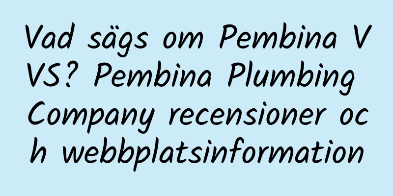 Vad sägs om Pembina VVS? Pembina Plumbing Company recensioner och webbplatsinformation