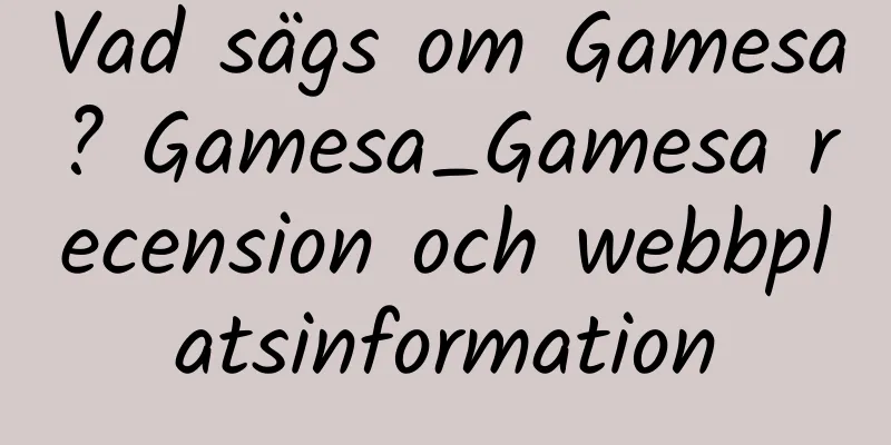 Vad sägs om Gamesa? Gamesa_Gamesa recension och webbplatsinformation