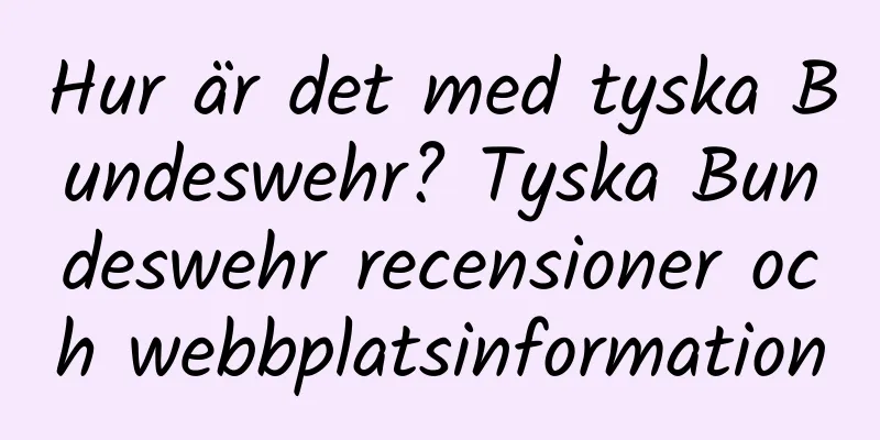 Hur är det med tyska Bundeswehr? Tyska Bundeswehr recensioner och webbplatsinformation