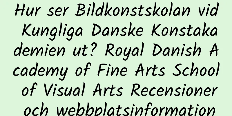 Hur ser Bildkonstskolan vid Kungliga Danske Konstakademien ut? Royal Danish Academy of Fine Arts School of Visual Arts Recensioner och webbplatsinformation