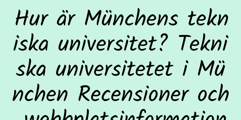 Hur är Münchens tekniska universitet? Tekniska universitetet i München Recensioner och webbplatsinformation