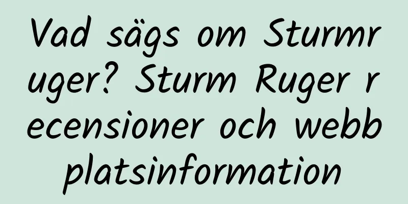 Vad sägs om Sturmruger? Sturm Ruger recensioner och webbplatsinformation