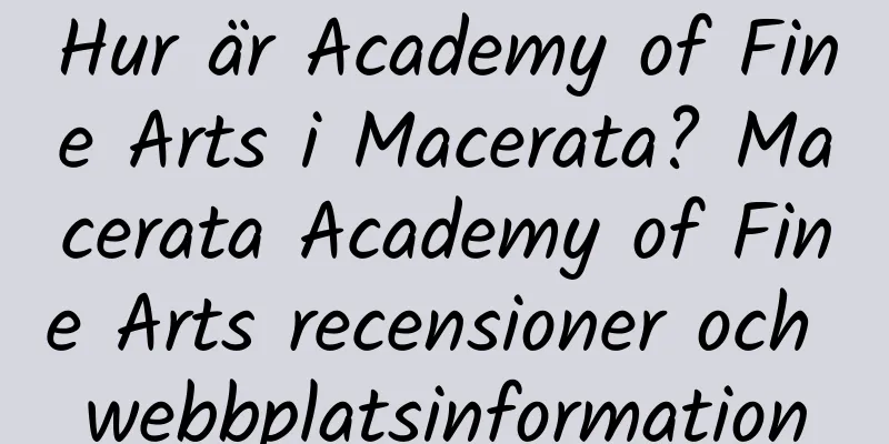 Hur är Academy of Fine Arts i Macerata? Macerata Academy of Fine Arts recensioner och webbplatsinformation