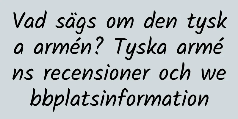 Vad sägs om den tyska armén? Tyska arméns recensioner och webbplatsinformation