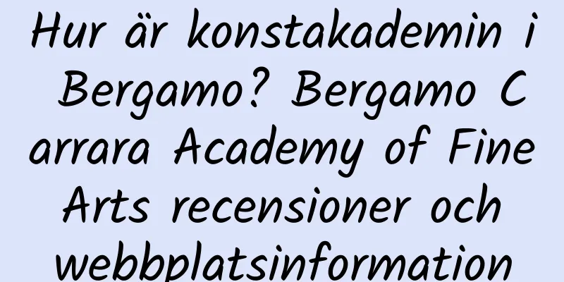 Hur är konstakademin i Bergamo? Bergamo Carrara Academy of Fine Arts recensioner och webbplatsinformation