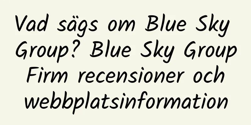 Vad sägs om Blue Sky Group? Blue Sky Group Firm recensioner och webbplatsinformation