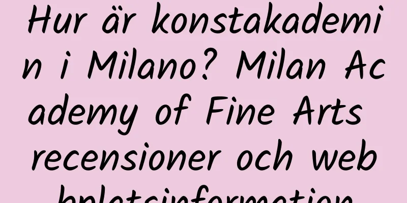 Hur är konstakademin i Milano? Milan Academy of Fine Arts recensioner och webbplatsinformation