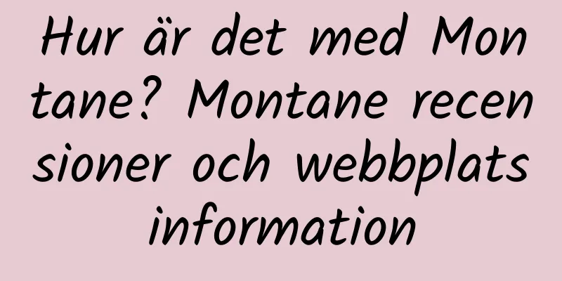 Hur är det med Montane? Montane recensioner och webbplatsinformation
