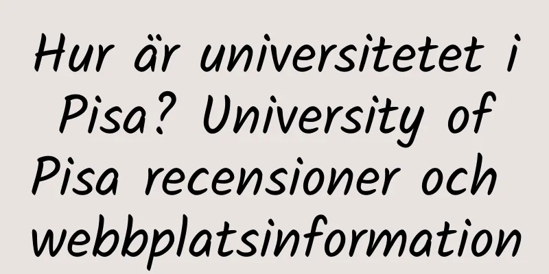Hur är universitetet i Pisa? University of Pisa recensioner och webbplatsinformation