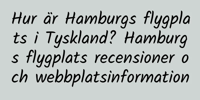 Hur är Hamburgs flygplats i Tyskland? Hamburgs flygplats recensioner och webbplatsinformation