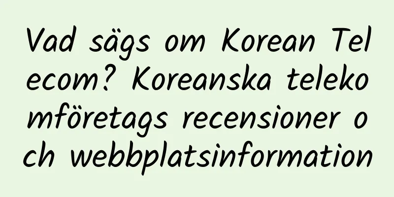 Vad sägs om Korean Telecom? Koreanska telekomföretags recensioner och webbplatsinformation