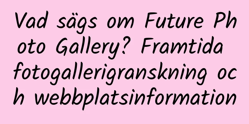 Vad sägs om Future Photo Gallery? Framtida fotogallerigranskning och webbplatsinformation