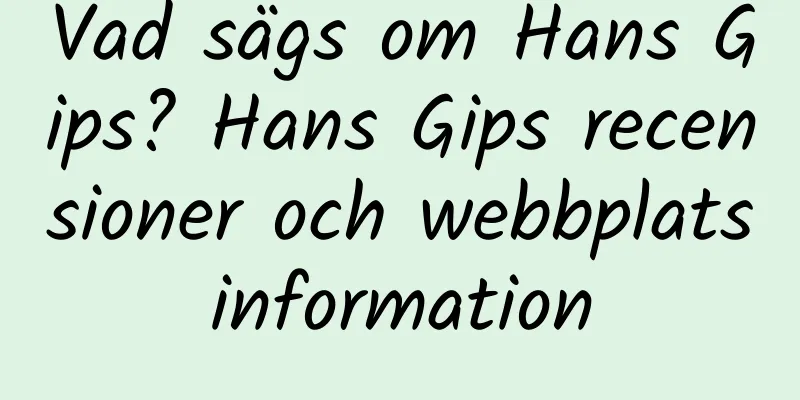Vad sägs om Hans Gips? Hans Gips recensioner och webbplatsinformation