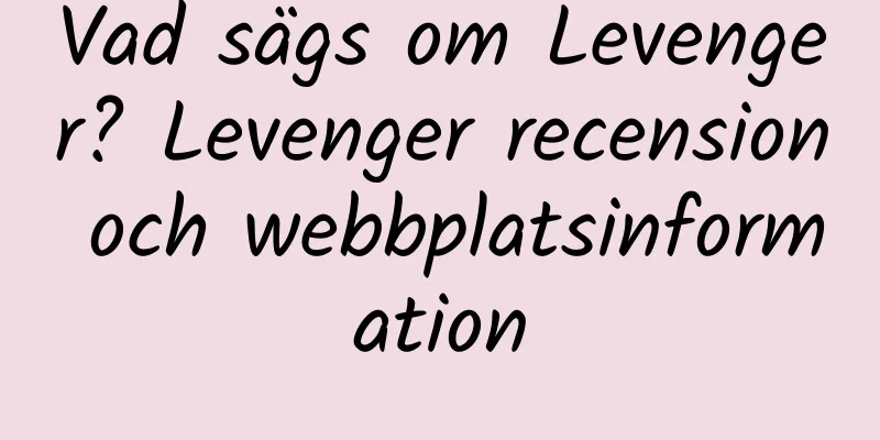 Vad sägs om Levenger? Levenger recension och webbplatsinformation