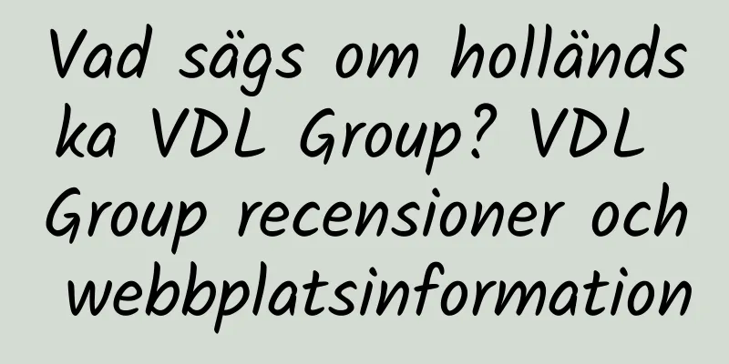 Vad sägs om holländska VDL Group? VDL Group recensioner och webbplatsinformation
