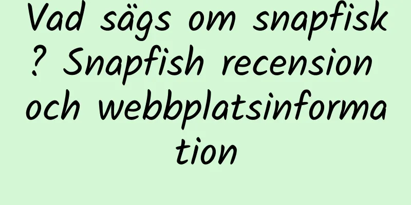 Vad sägs om snapfisk? Snapfish recension och webbplatsinformation