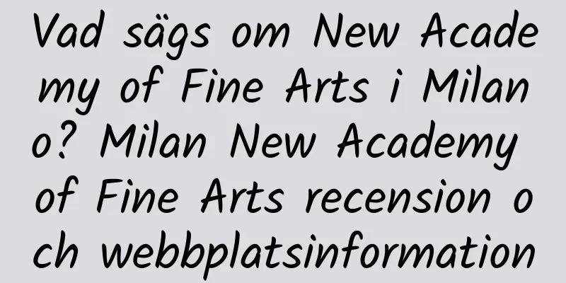 Vad sägs om New Academy of Fine Arts i Milano? Milan New Academy of Fine Arts recension och webbplatsinformation