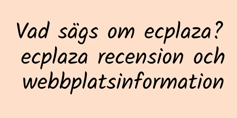Vad sägs om ecplaza? ecplaza recension och webbplatsinformation