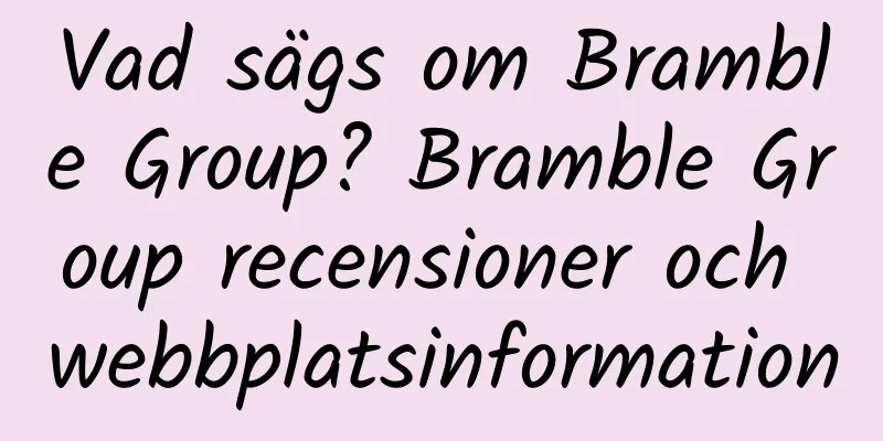 Vad sägs om Bramble Group? Bramble Group recensioner och webbplatsinformation