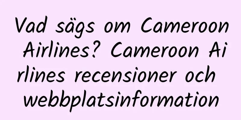Vad sägs om Cameroon Airlines? Cameroon Airlines recensioner och webbplatsinformation