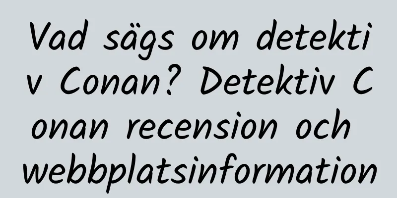 Vad sägs om detektiv Conan? Detektiv Conan recension och webbplatsinformation