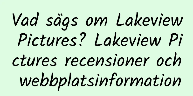 Vad sägs om Lakeview Pictures? Lakeview Pictures recensioner och webbplatsinformation