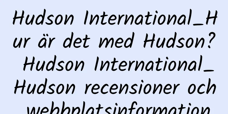 Hudson International_Hur är det med Hudson? Hudson International_Hudson recensioner och webbplatsinformation