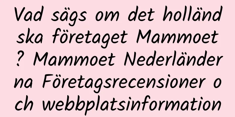 Vad sägs om det holländska företaget Mammoet? Mammoet Nederländerna Företagsrecensioner och webbplatsinformation