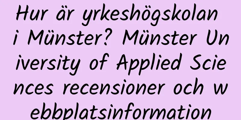 Hur är yrkeshögskolan i Münster? Münster University of Applied Sciences recensioner och webbplatsinformation