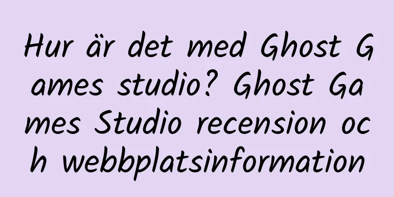 Hur är det med Ghost Games studio? Ghost Games Studio recension och webbplatsinformation