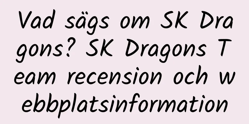 Vad sägs om SK Dragons? SK Dragons Team recension och webbplatsinformation