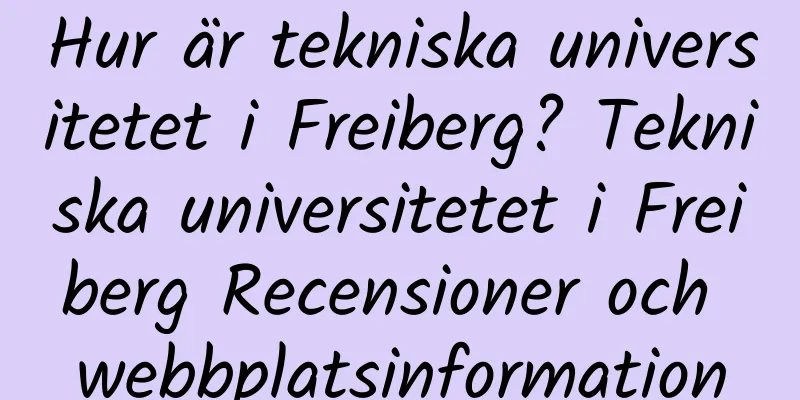 Hur är tekniska universitetet i Freiberg? Tekniska universitetet i Freiberg Recensioner och webbplatsinformation