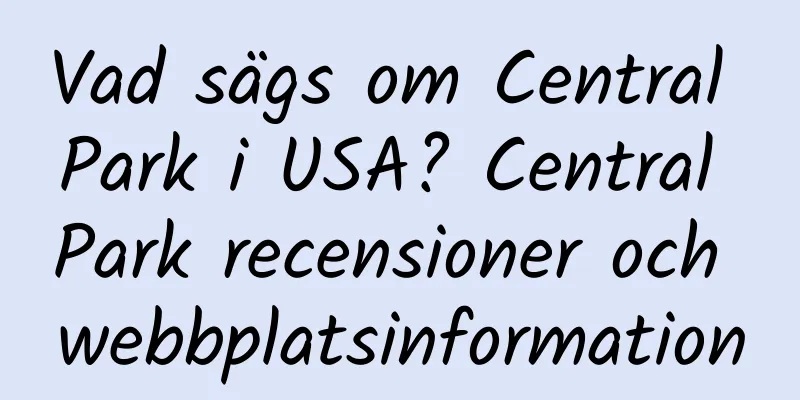 Vad sägs om Central Park i USA? Central Park recensioner och webbplatsinformation