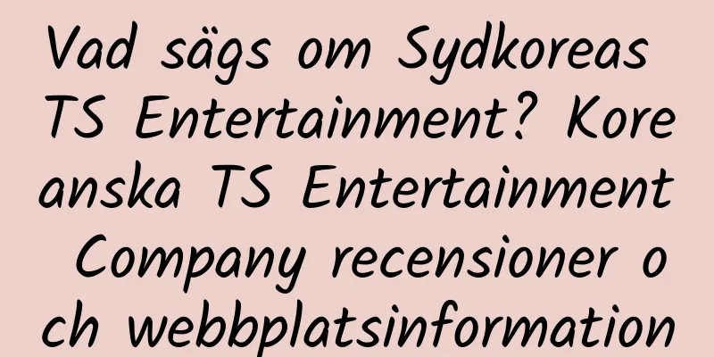 Vad sägs om Sydkoreas TS Entertainment? Koreanska TS Entertainment Company recensioner och webbplatsinformation