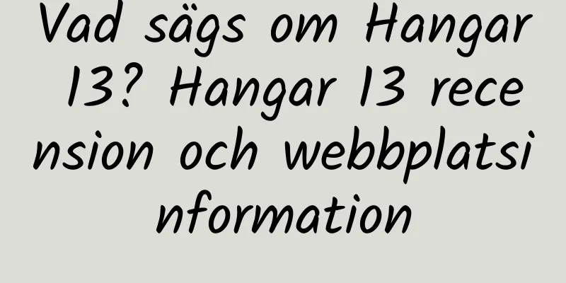 Vad sägs om Hangar 13? Hangar 13 recension och webbplatsinformation