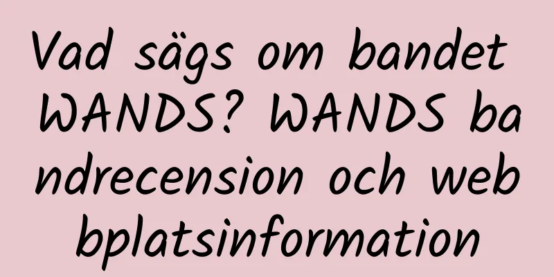 Vad sägs om bandet WANDS? WANDS bandrecension och webbplatsinformation
