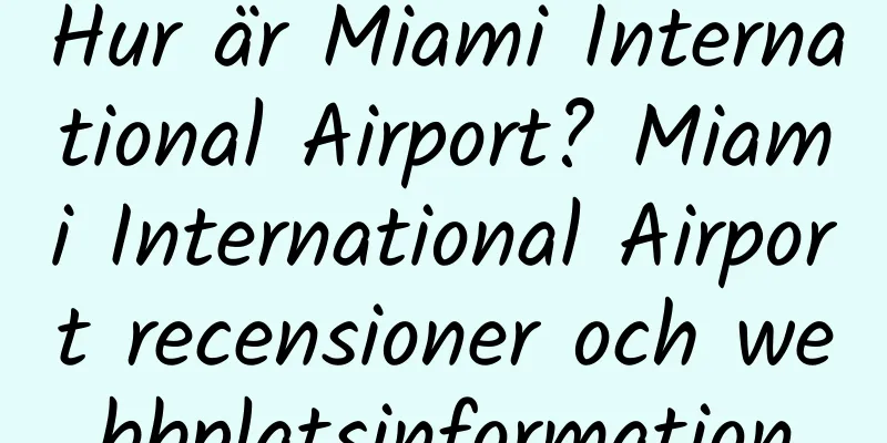 Hur är Miami International Airport? Miami International Airport recensioner och webbplatsinformation