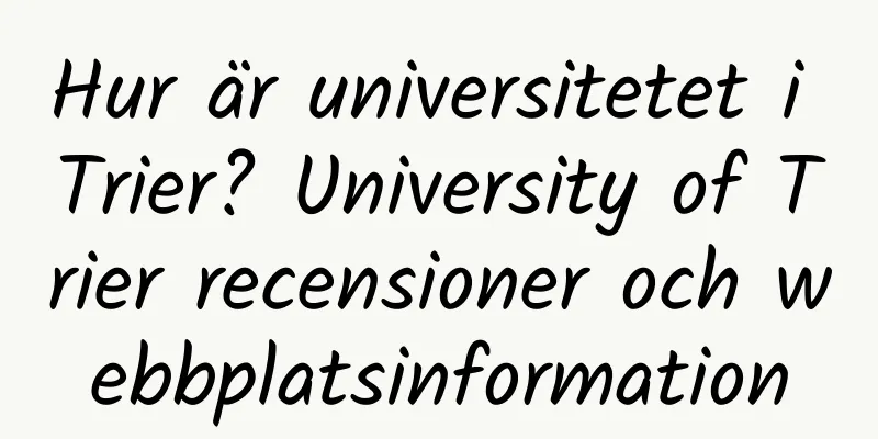 Hur är universitetet i Trier? University of Trier recensioner och webbplatsinformation
