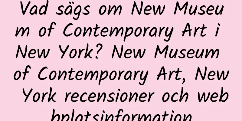 Vad sägs om New Museum of Contemporary Art i New York? New Museum of Contemporary Art, New York recensioner och webbplatsinformation