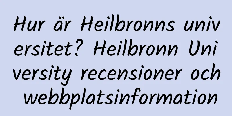 Hur är Heilbronns universitet? Heilbronn University recensioner och webbplatsinformation