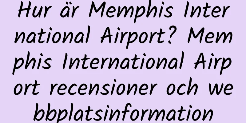 Hur är Memphis International Airport? Memphis International Airport recensioner och webbplatsinformation