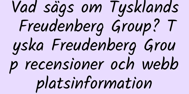 Vad sägs om Tysklands Freudenberg Group? Tyska Freudenberg Group recensioner och webbplatsinformation