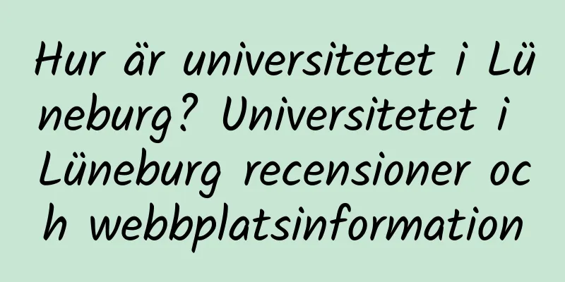 Hur är universitetet i Lüneburg? Universitetet i Lüneburg recensioner och webbplatsinformation