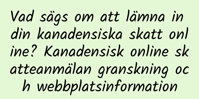 Vad sägs om att lämna in din kanadensiska skatt online? Kanadensisk online skatteanmälan granskning och webbplatsinformation