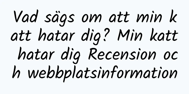 Vad sägs om att min katt hatar dig? Min katt hatar dig Recension och webbplatsinformation