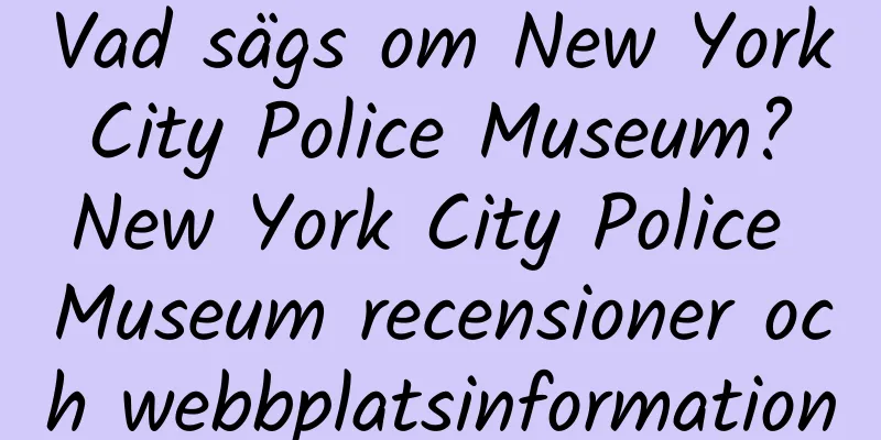 Vad sägs om New York City Police Museum? New York City Police Museum recensioner och webbplatsinformation